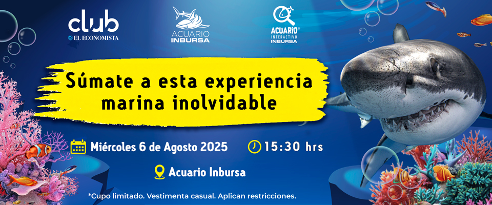 Experiencia Súmate a esta experiencia marina inolvidable
