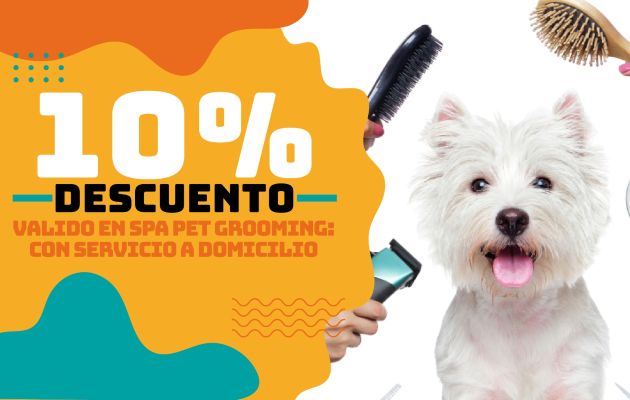La Perrukeria MX