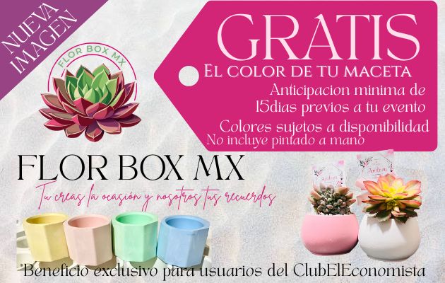 Flor Box MX
