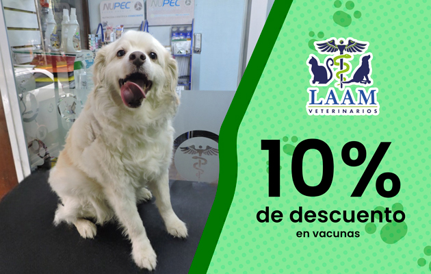 LAAM Veterinarios