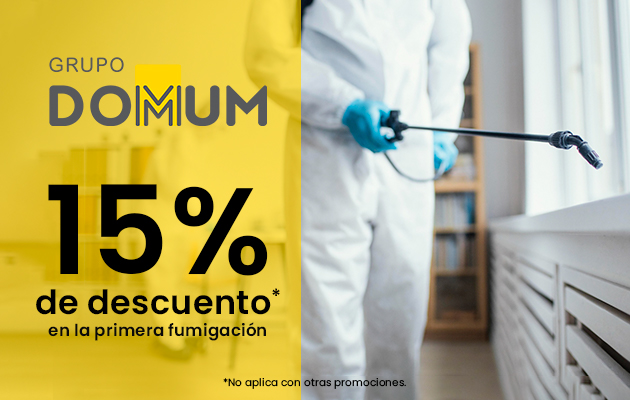 Grupo Domum