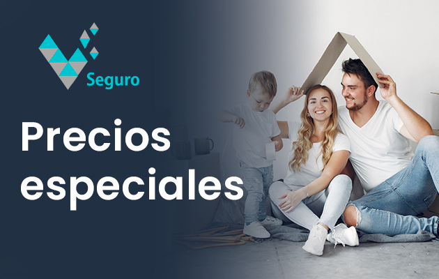 VSeguros