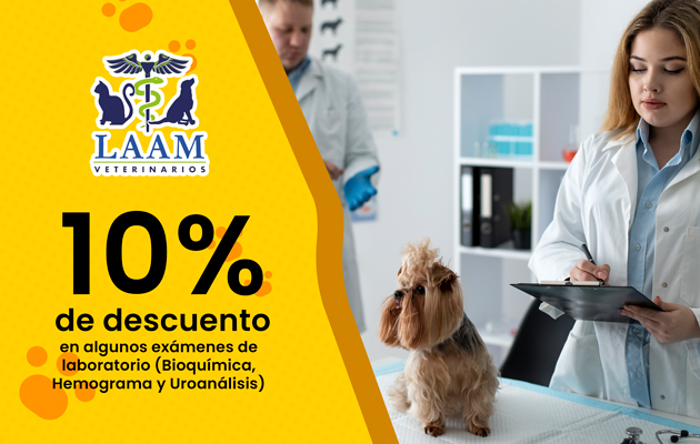 LAAM Veterinarios